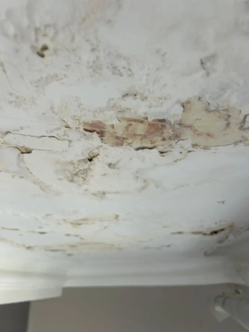 Plafond remis en état après un dégât des eaux par Deco Mabele